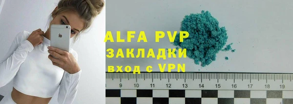 стаф Магас