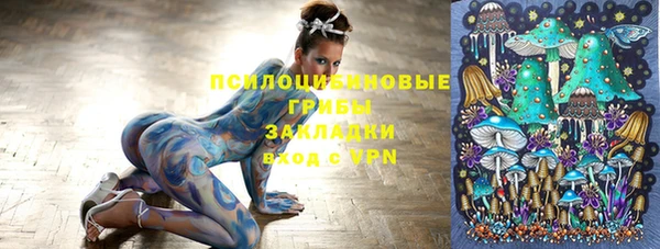 МДПВ Абинск