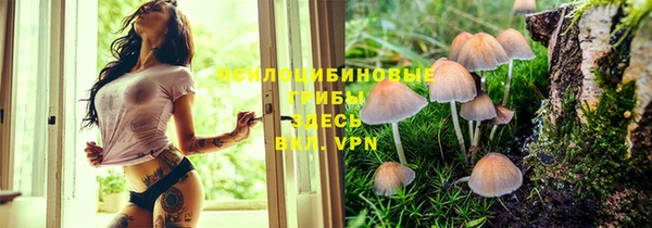 мет Абдулино