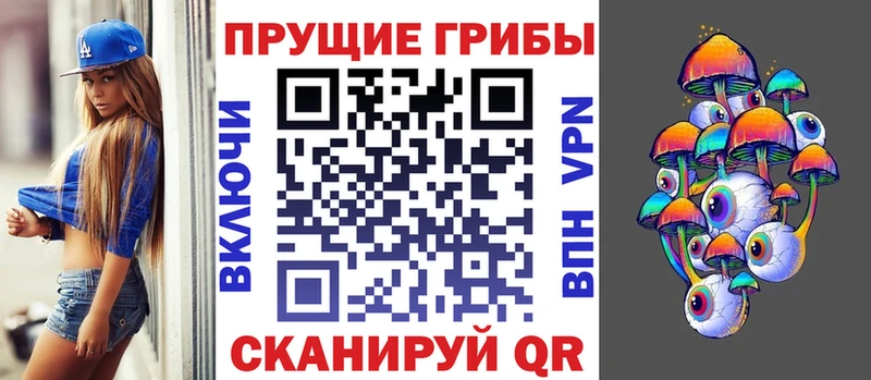 нарко площадка клад  Правдинск  Галлюциногенные грибы Cubensis 