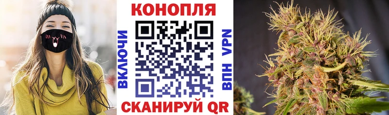 ссылка на мегу как войти  Правдинск  Бошки Шишки THC 21%  наркотики 